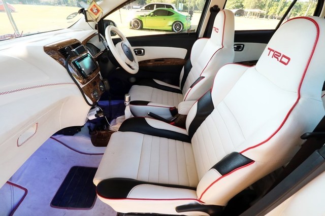 Cat interior mobil.jpg